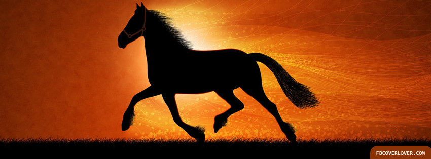 Sunset Horse Trot Facebook Timeline  Profile Covers