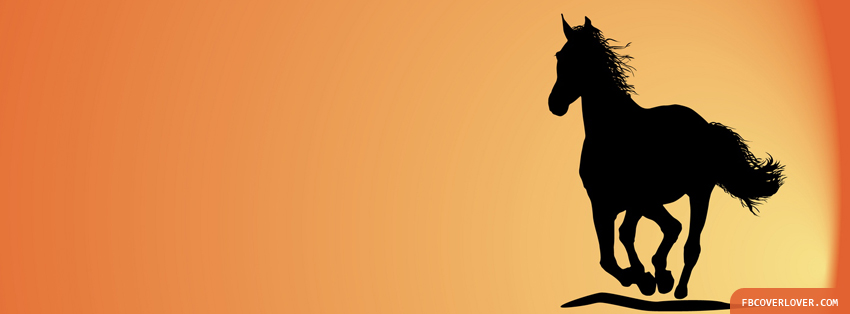 Sunset Trotting Facebook Covers More Animals Covers for Timeline