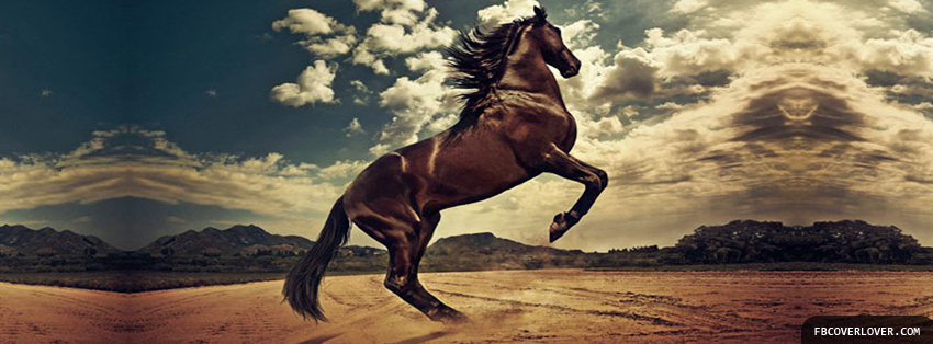 Mighty Horse Facebook Covers More Animals Covers for Timeline