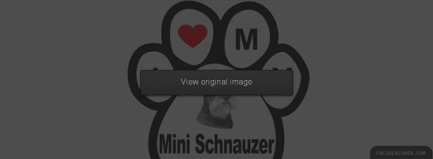 I Love Miniature Schnauzer Facebook Covers More Animals Covers for Timeline