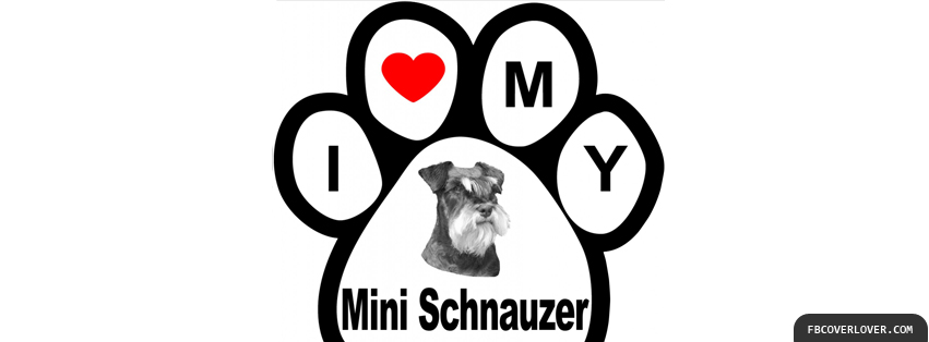 I Love Miniature Schnauzer Facebook Covers More Animals Covers for Timeline