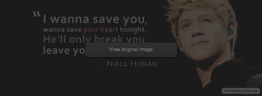 One Direction Lyrics Facebook Covers More Lyrics Covers for Timeline