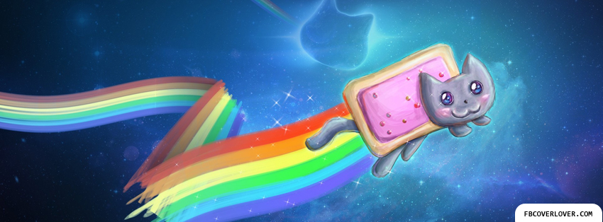 Nyan Cat 2 Facebook Covers More Funny Covers for Timeline