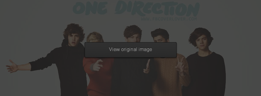 One Direction 5 Facebook Covers More Music Covers for Timeline