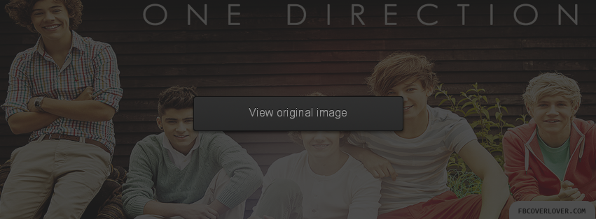 One Direction Facebook Covers More Music Covers for Timeline