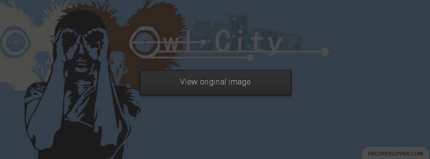 Owl City Facebook Covers More Music Covers for Timeline