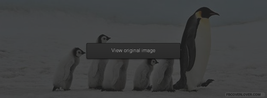 Penguin Awareness Day Facebook Covers More causes Covers for Timeline