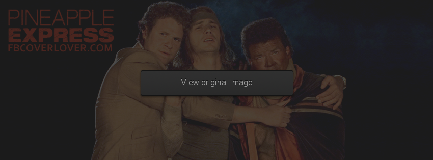 Pineapple Express Facebook Covers More Movies_TV Covers for Timeline