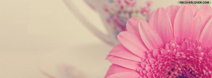 Beautiful Pink Flower Facebook Covers More Cute Covers for Timeline