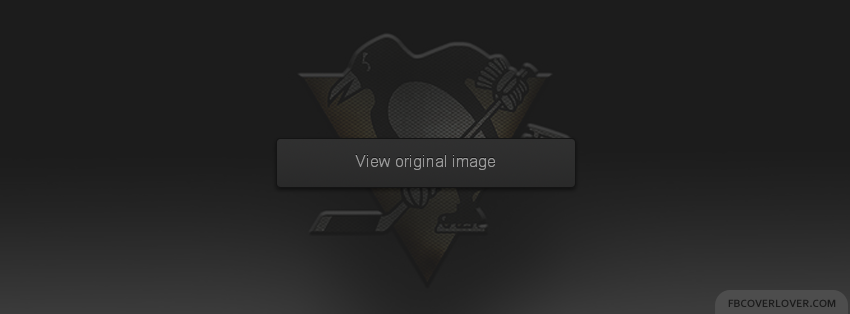 Pittsburgh Penguins 2 Facebook Covers More Hockey Covers for Timeline