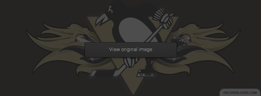 Pittsburgh Penguins Facebook Covers More Hockey Covers for Timeline