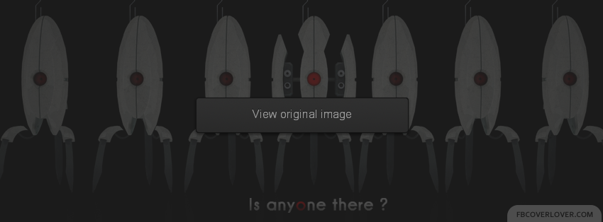 Portal 2 Facebook Covers More Video_Games Covers for Timeline