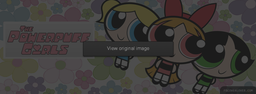 The Powerpuff Girls Facebook Covers More Cartoons Covers for Timeline