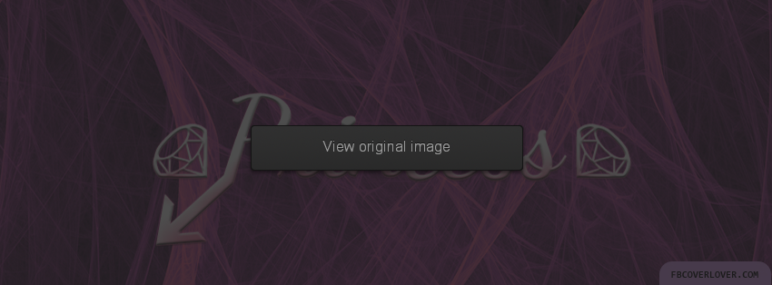 Princess Facebook Covers More Miscellaneous Covers for Timeline