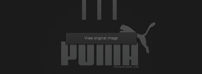 Puma Facebook Covers More Brands Covers for Timeline