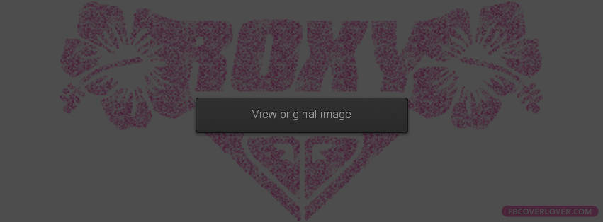 Roxy 2 Facebook Covers More Brands Covers for Timeline
