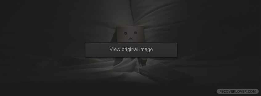Lonely Danboard Facebook Covers More Emo_Goth Covers for Timeline