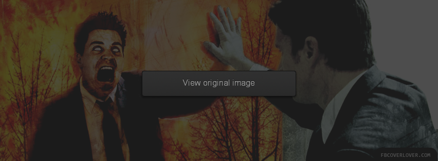 Senses Fail Facebook Covers More Music Covers for Timeline