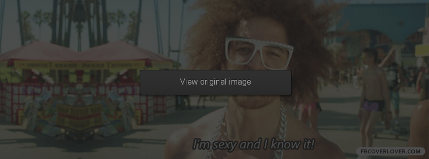 Im Sexy And I Know It Facebook Covers More Lyrics Covers for Timeline
