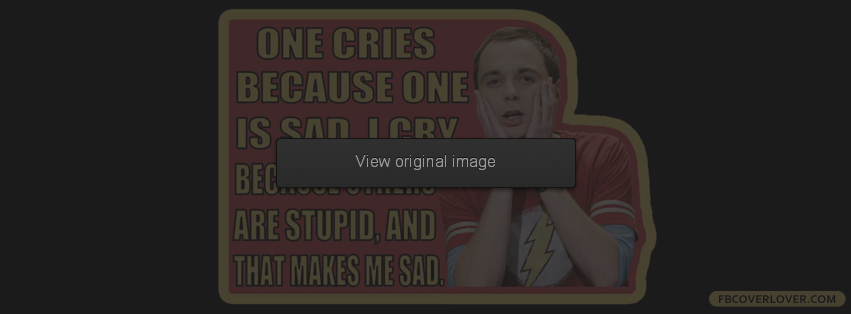 Sheldon Cooper Quote Facebook Covers More Movies_TV Covers for Timeline