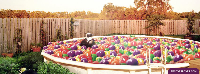 Skittles Pool Facebook Covers More Miscellaneous Covers for Timeline