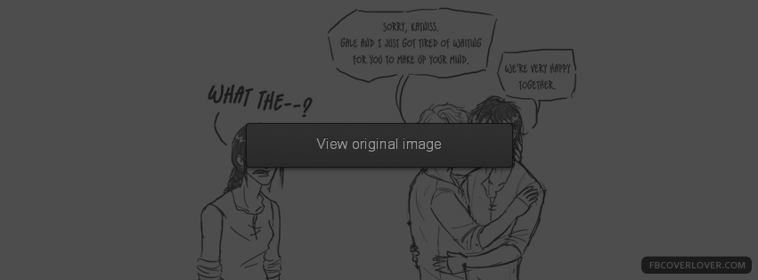 Sorry Katniss Facebook Covers More Funny Covers for Timeline