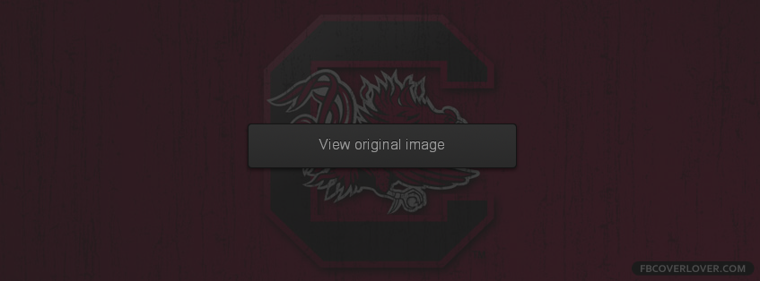 South Carolina Gamecocks 2 Facebook Covers More Football Covers for Timeline