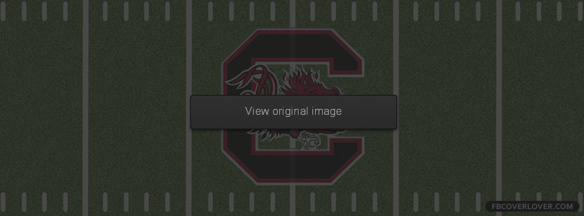 South Carolina Gamecocks 5 Facebook Covers More Football Covers for Timeline