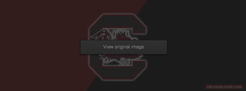 South Carolina Gamecocks 6 Facebook Covers More Football Covers for Timeline