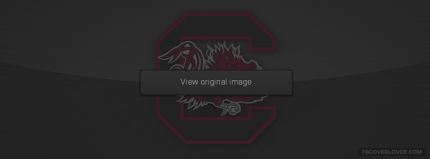 South Carolina Gamecocks Facebook Covers More Football Covers for Timeline