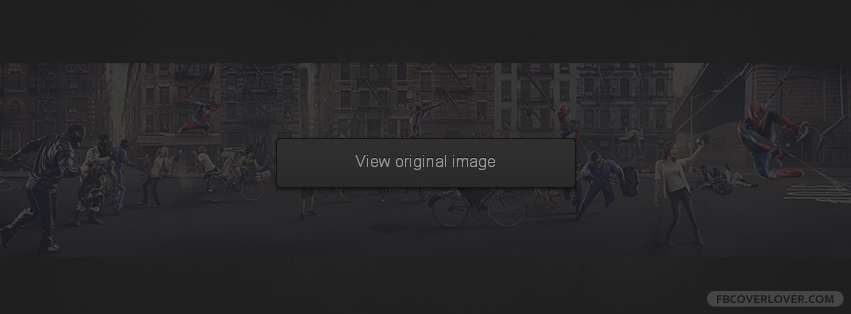 Your Friendly Neighborhood SpiderMan Facebook Covers More Movies_TV Covers for Timeline