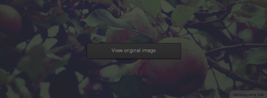 Spring Apple Facebook Covers More Seasonal Covers for Timeline