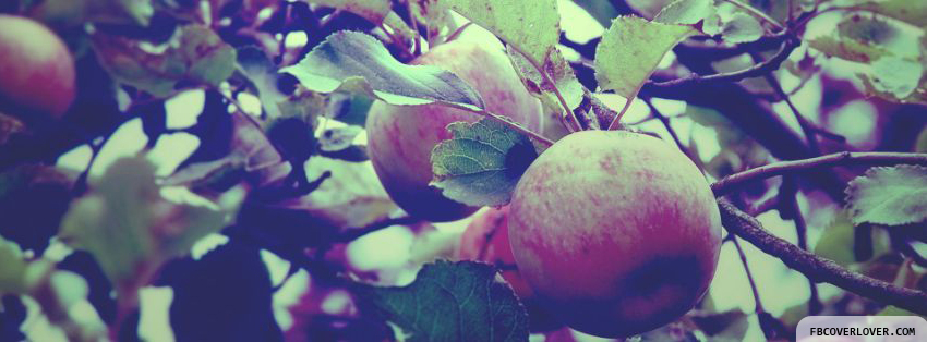 Spring Apple Facebook Covers More Seasonal Covers for Timeline