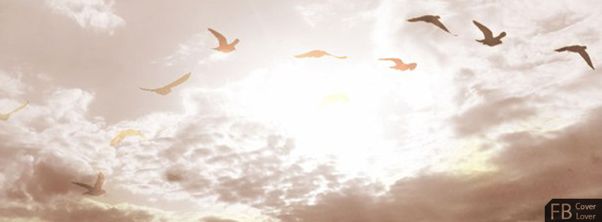 Sunset Birds Facebook Covers More Nature_Scenic Covers for Timeline