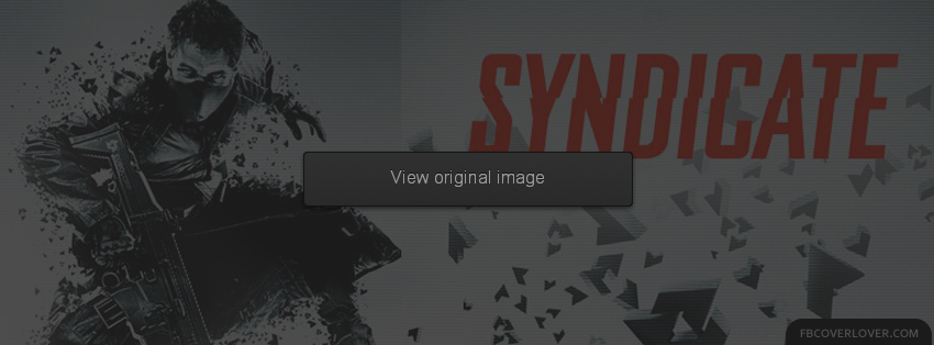Syndicate 3 Facebook Covers More User Covers for Timeline