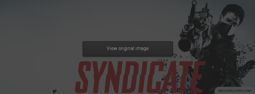 Syndicate Facebook Covers More Video_Games Covers for Timeline