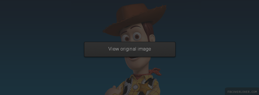 Woody Facebook Covers More Cartoons Covers for Timeline