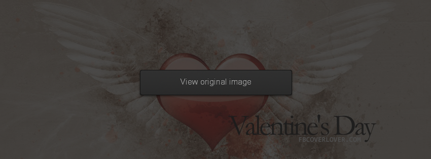 Valentines Day Facebook Covers More Holidays Covers for Timeline