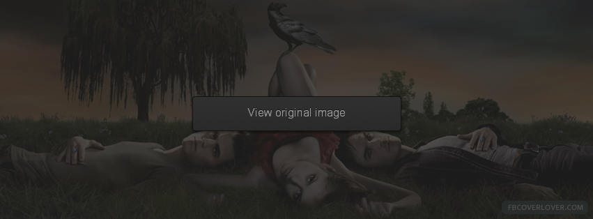 Vampire Diaries 2 Facebook Covers More Movies_TV Covers for Timeline