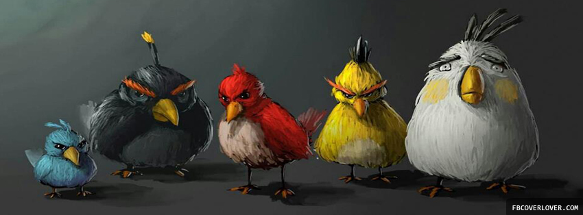 Real Angry Birds Facebook Covers More Funny Covers for Timeline