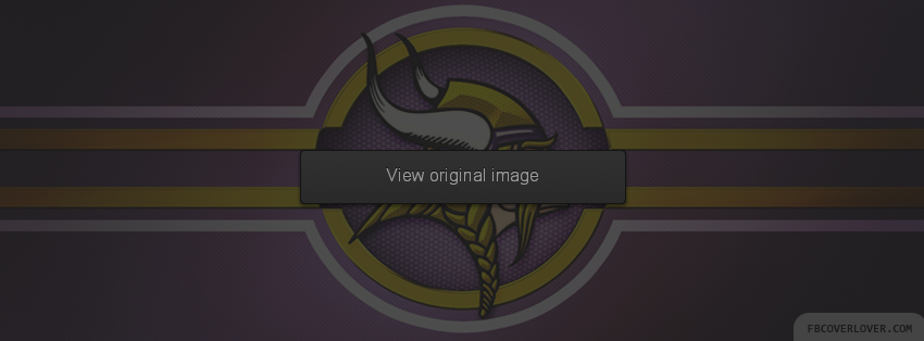 Minnesota Vikings Facebook Covers More Football Covers for Timeline
