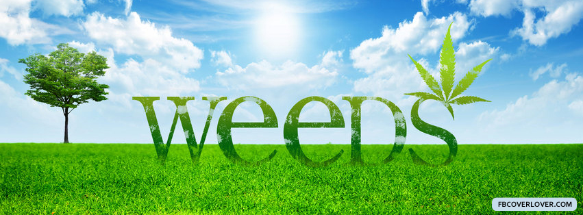Weeds 2 Facebook Covers More Movies_TV Covers for Timeline