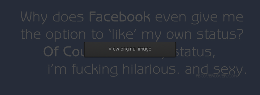 like my own status Facebook Covers More Funny Covers for Timeline