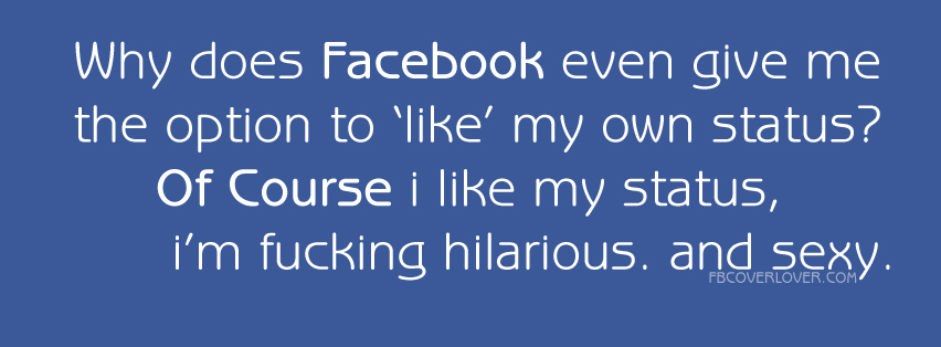 like my own status Facebook Covers More Funny Covers for Timeline