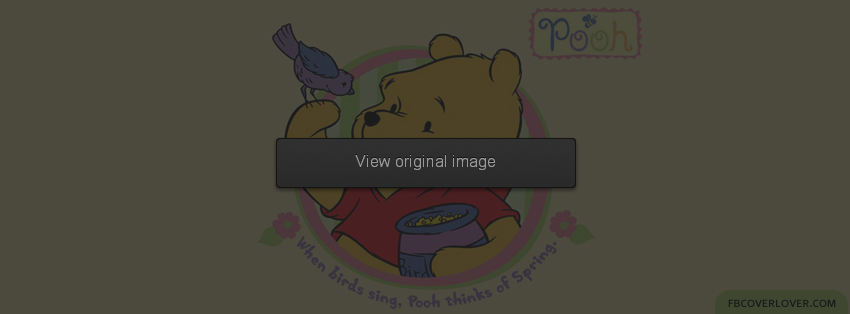 Winnie The Pooh 2 Facebook Covers More Cartoons Covers for Timeline