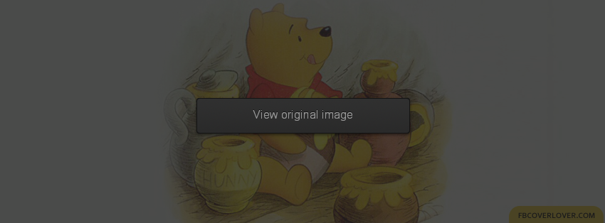 Winnie The Pooh 3 Facebook Covers More Cartoons Covers for Timeline