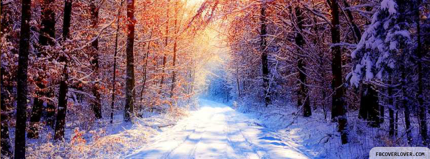 Winter Forest Facebook Timeline  Profile Covers
