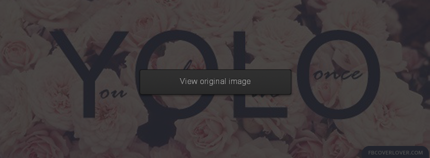 You Only Live Once 4 Facebook Covers More Life Covers for Timeline