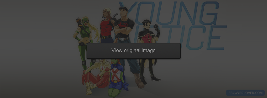 Young Justice Facebook Covers More Cartoons Covers for Timeline