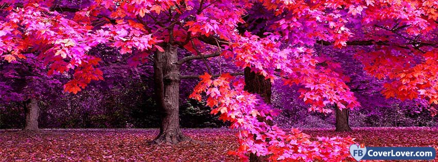 Pink Autumn